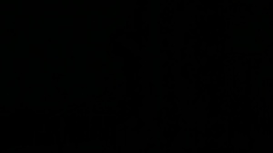 Str8Chaser.com: Trimmed american really enjoys pov anal sex