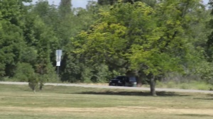 Str8chaser.com - Muscled amateur blowjobs in hotel