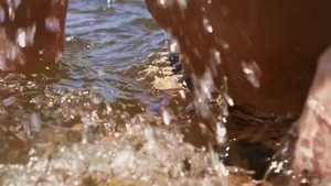 DrillMyHole.com: American getting facial outdoors