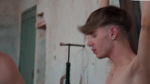 Toys Galore for Twink and Stud's Fun