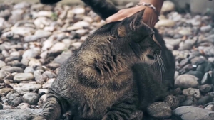 Beno, Navon & Eker: The Ultimate Twink Trio